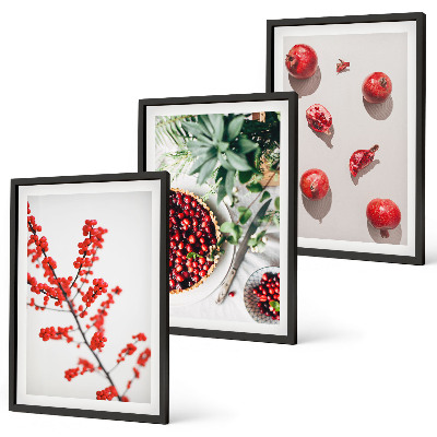 Tavelpaket med ramar Röda frukter av växter minimalism