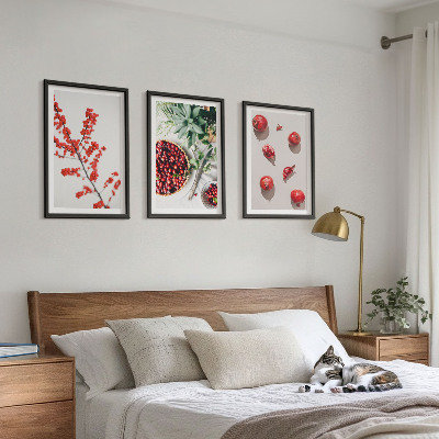 Tavelpaket med ramar Röda frukter av växter minimalism