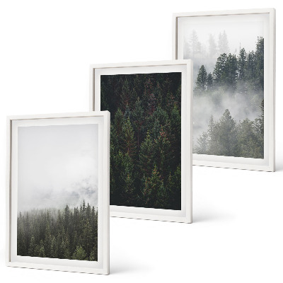 Tavelset ovanför soffa Gröna skogar dimma natur