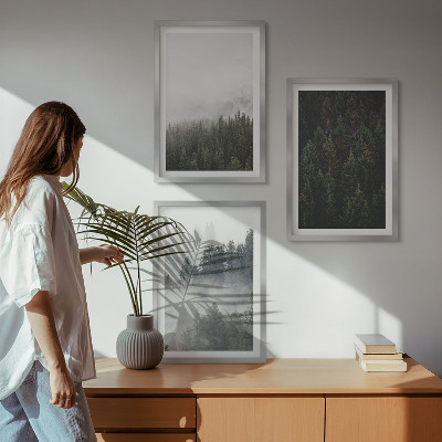 Tavelset ovanför soffa Gröna skogar dimma natur