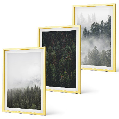 Tavelset ovanför soffa Gröna skogar dimma natur