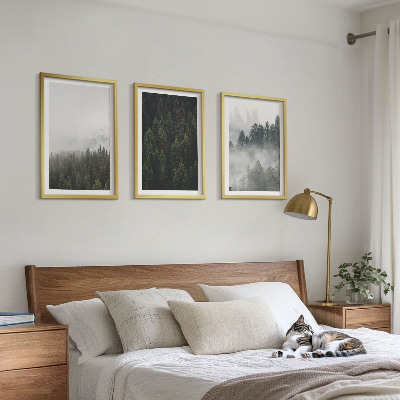 Tavelset ovanför soffa Gröna skogar dimma natur