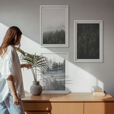 Tavelset ovanför soffa Gröna skogar dimma natur