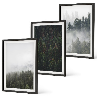 Tavelset ovanför soffa Gröna skogar dimma natur