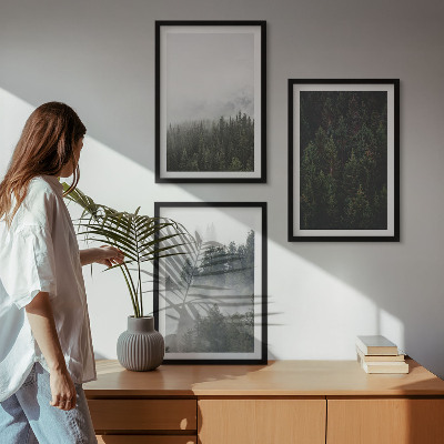 Tavelset ovanför soffa Gröna skogar dimma natur