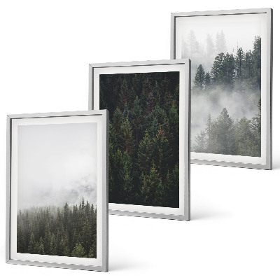 Tavelset ovanför soffa Gröna skogar dimma natur