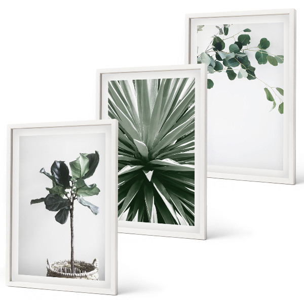 Set om 3 tavlor Gröna växter minimalism