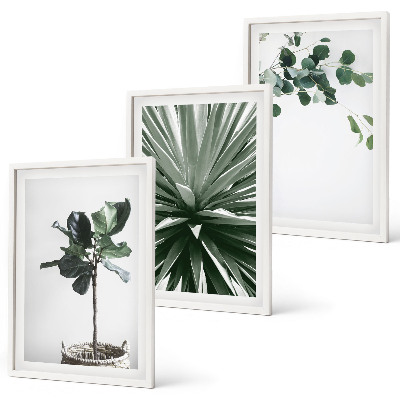 Set om 3 tavlor Gröna växter minimalism