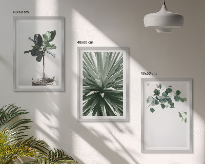 Set om 3 tavlor Gröna växter minimalism