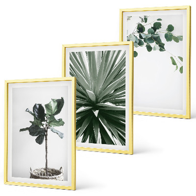 Set om 3 tavlor Gröna växter minimalism
