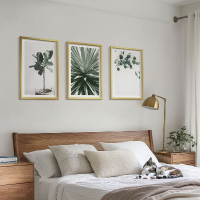 Set om 3 tavlor Gröna växter minimalism