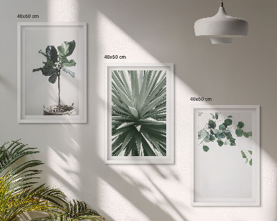 Set om 3 tavlor Gröna växter minimalism