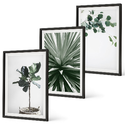 Set om 3 tavlor Gröna växter minimalism