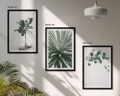 Set om 3 tavlor Gröna växter minimalism