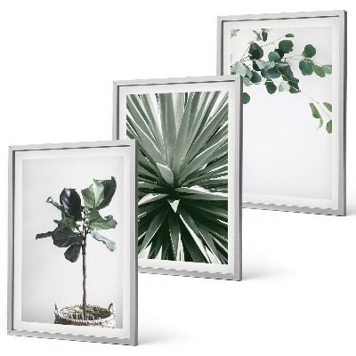Set om 3 tavlor Gröna växter minimalism