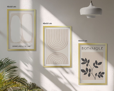 Set om 3 tavlor Boho-affischer med delikata växter