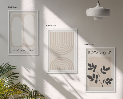 Set om 3 tavlor Boho-affischer med delikata växter