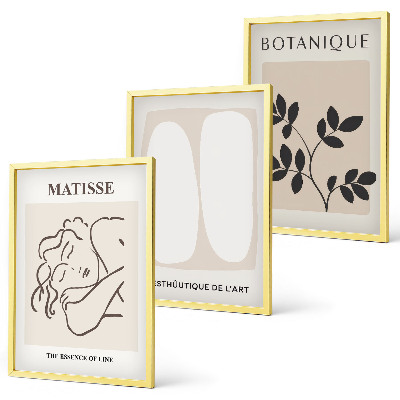 Tavelpaket med ramar Matisses eleganta växtmålningar