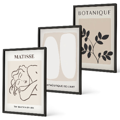Tavelpaket med ramar Matisses eleganta växtmålningar