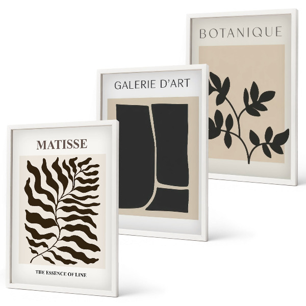 Set om 3 tavlor Minimalistiska växtposters