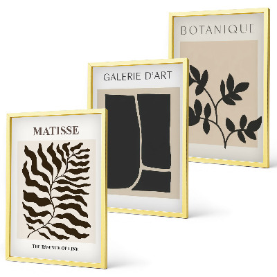 Set om 3 tavlor Minimalistiska växtposters