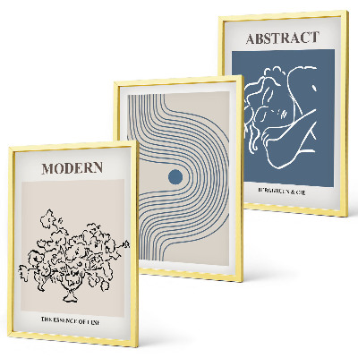 Set om 3 tavlor Blommor linjer abstrakta posters