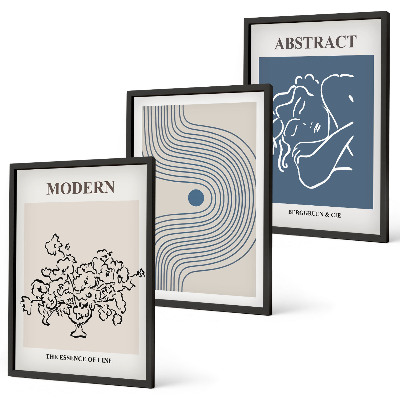 Set om 3 tavlor Blommor linjer abstrakta posters