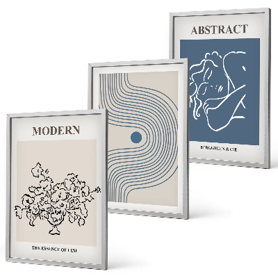 Set om 3 tavlor Blommor linjer abstrakta posters