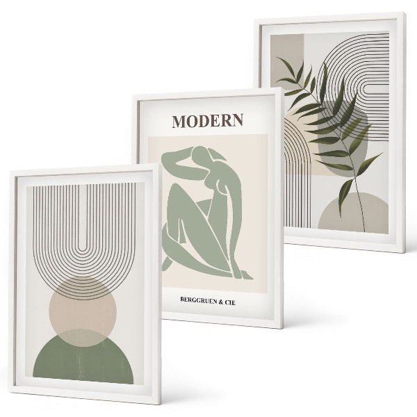 Set om 3 tavlor Snygg växtgrafik