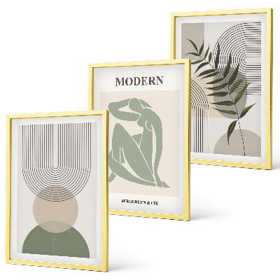 Set om 3 tavlor Snygg växtgrafik