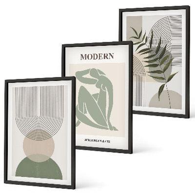 Set om 3 tavlor Snygg växtgrafik
