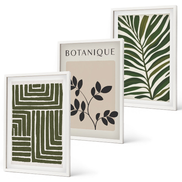 Set om 3 tavlor Botanisk boho minimalism