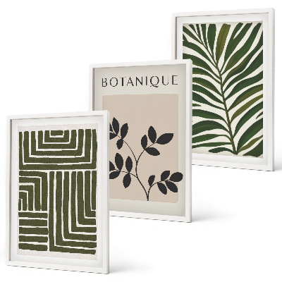 Set om 3 tavlor Botanisk boho minimalism