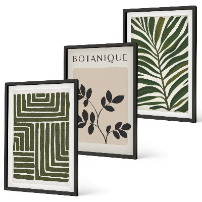 Set om 3 tavlor Botanisk boho minimalism