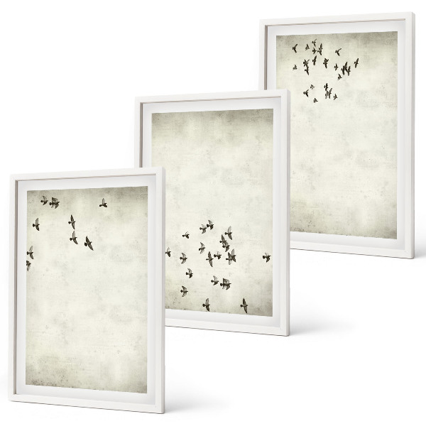 Set om 3 tavlor Minimalistisk fågelmålning