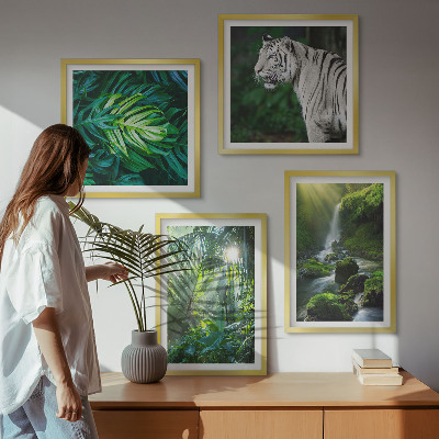 Tavelvägg med 4 tavlor Djungelvit tigervattenfall
