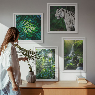 Tavelvägg med 4 tavlor Djungelvit tigervattenfall