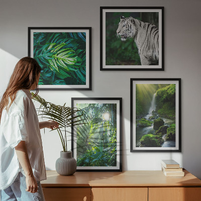Tavelvägg med 4 tavlor Djungelvit tigervattenfall