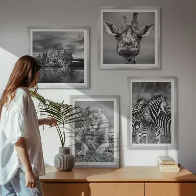 Tavelvägg med 4 tavlor med motiv av vilda djur som lejon, jaguar, giraff och zebror