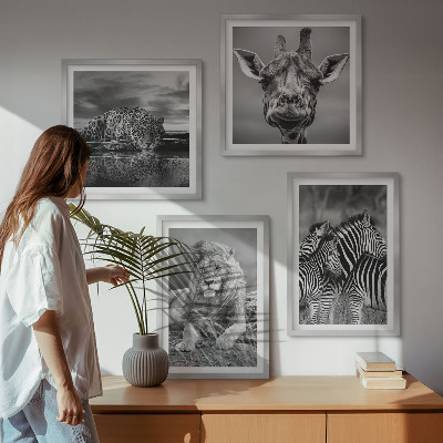 Tavelvägg med 4 tavlor Vilda djur Lejon Jaguar Giraff Zebror