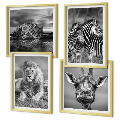 Tavelvägg med 4 tavlor med motiv av vilda djur som lejon, jaguar, giraff och zebror