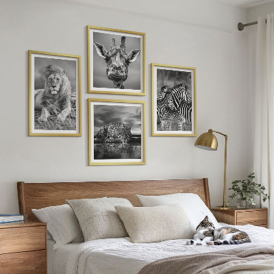 Tavelvägg med 4 tavlor Vilda djur Lejon Jaguar Giraff Zebror