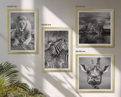 Tavelvägg med 4 tavlor med motiv av vilda djur som lejon, jaguar, giraff och zebror