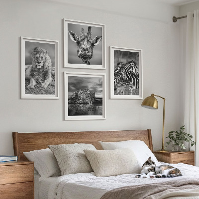 Tavelvägg med 4 tavlor Vilda djur Lejon Jaguar Giraff Zebror