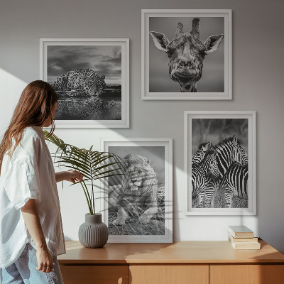 Tavelvägg med 4 tavlor Vilda djur Lejon Jaguar Giraff Zebror