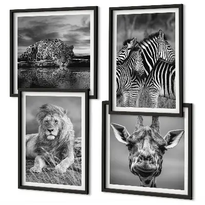 Tavelvägg med 4 tavlor med motiv av vilda djur som lejon, jaguar, giraff och zebror