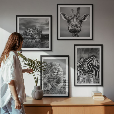 Tavelvägg med 4 tavlor Vilda djur Lejon Jaguar Giraff Zebror