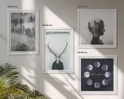 Tavelvägg med 4 tavlor med motiv av skogsdimma, måne, skalle och kvinna
