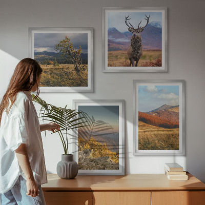 Tavelvägg ovanför soffa Bergslandskap hjortgräs