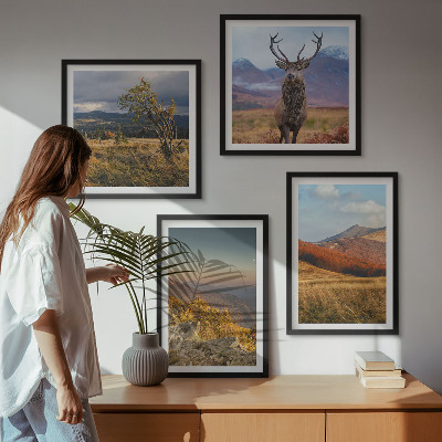 Tavelvägg ovanför soffa Bergslandskap hjortgräs